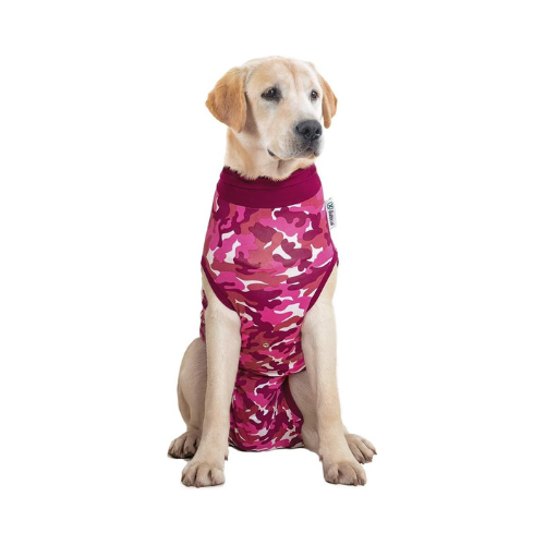 Suitical Recovery Suit Dog L