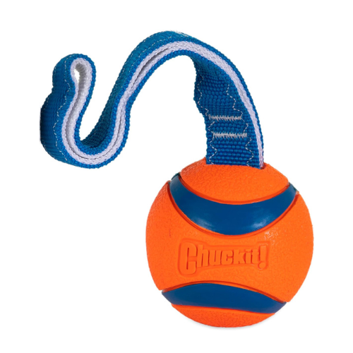 Chuckit! Ultra Tug Dog Toy L