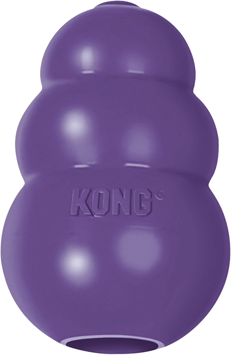 KONG Senior Chew Toy, L