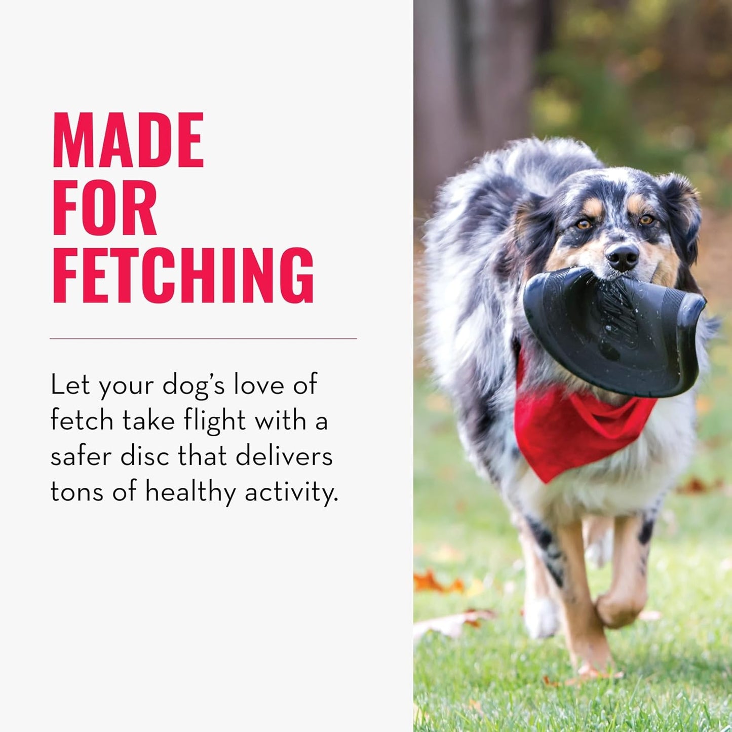 KONG Extreme Flyer Disc Fetch Toy, L, Black