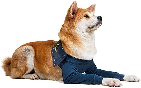 MPS Dog Surgery Double Front Leg Sleeve, Blue, L