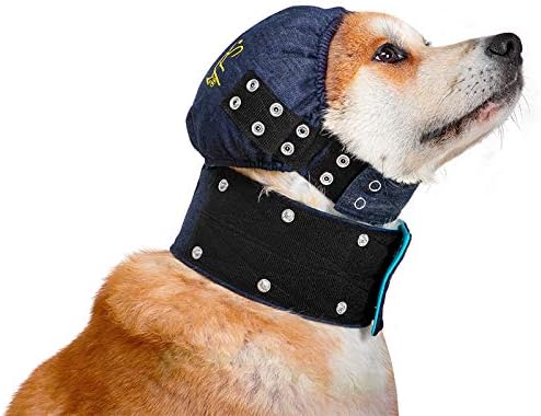 MPS Dog Surgery Head Cover, Blue, XL