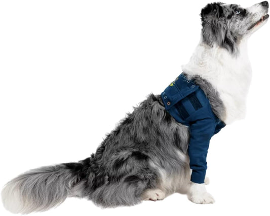 Mps Medical Pet Shirt Taz Dog, Blue, M