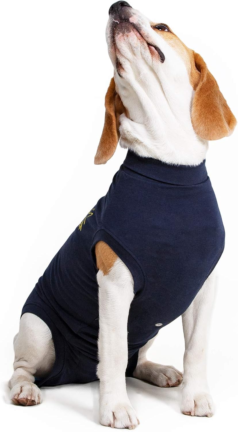 Mps Medical Pet Shirt Dog, Blue, S+